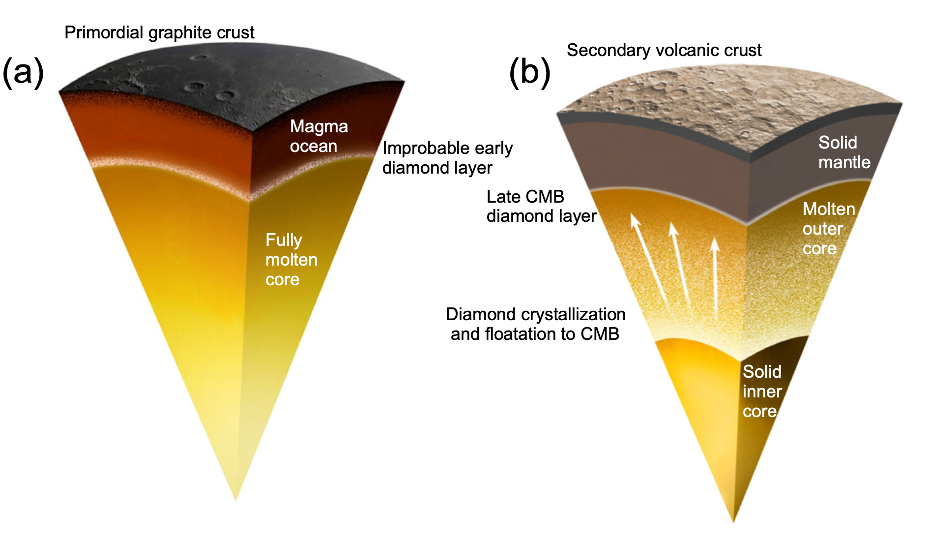 Silicate Liquid Immiscibility